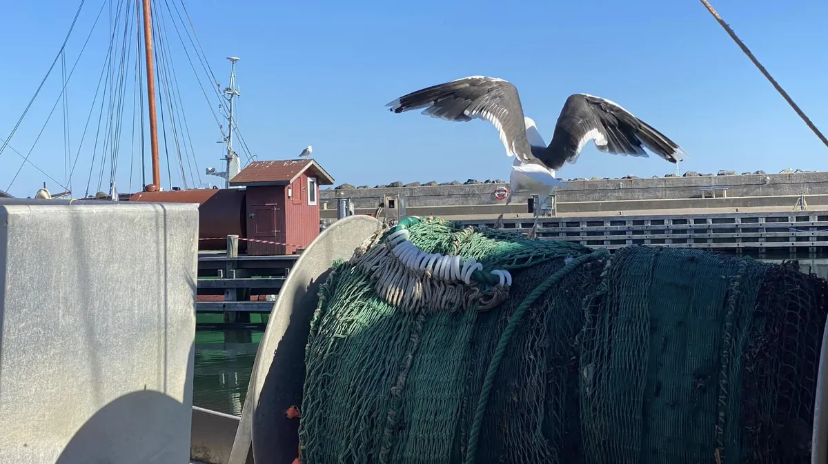 Odden Havn på Sjællands Odde – molen og fiskerihavnen